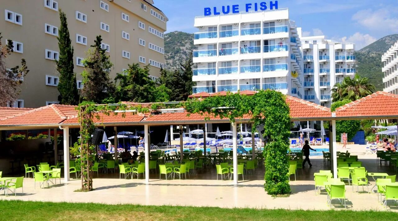 Отель blue fish hotel 4. Fish hotel. Blue fish 4 турция конаклы. Blue fish hotel 4 турция конаклы. Турция,конаклы,blue fish hotel.