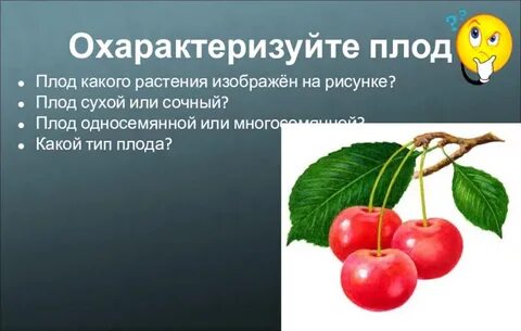 Плоды трудов