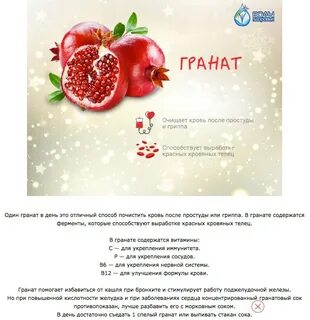 В какое время лучше есть гранат
