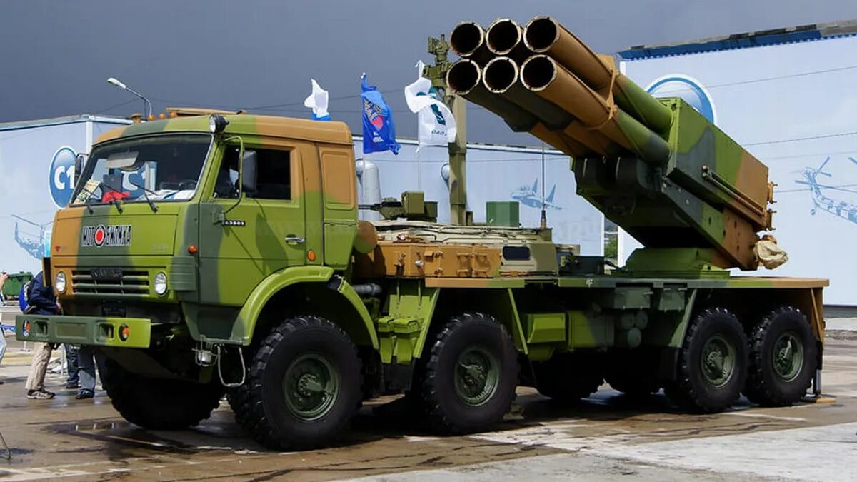 Рсзо 9к58 «кама». Alnus glutinosa. Сзо ольха. Ольха рсзо. Ольха обыкновенная.