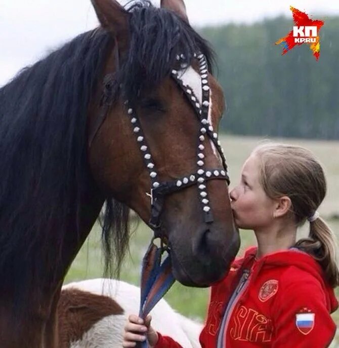 Нужны лошадки. Ласточка на лошади. Лошадь Юлии Липницкой.