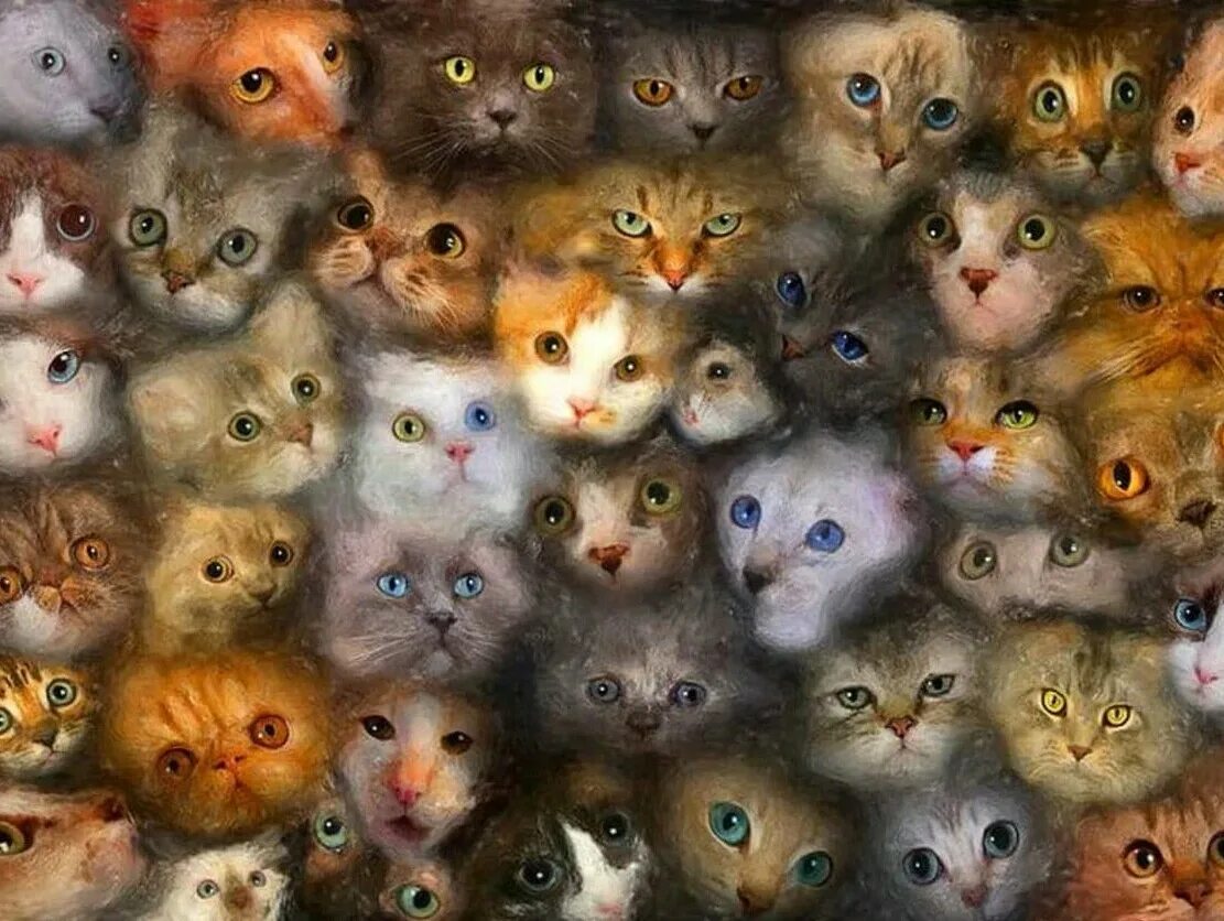 Некоторые кошки