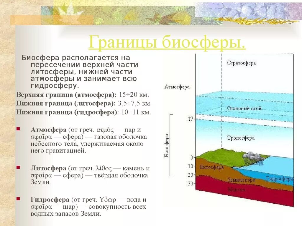 Какая нижняя граница биосферы