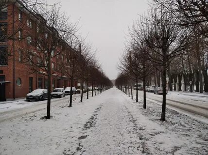 Тулонская аллея