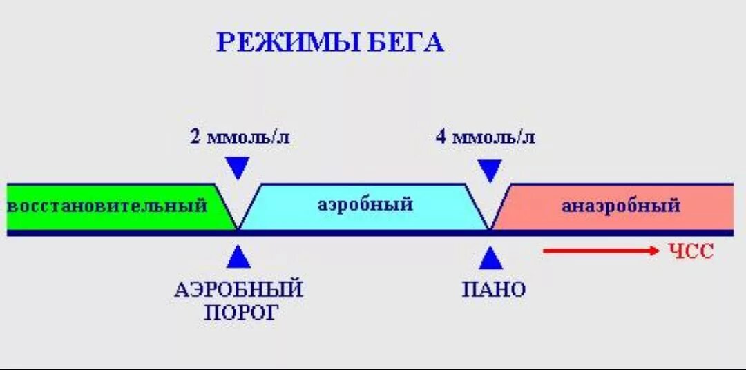 Уровень лактата аэробного порога. Анаэробный порог. Аэробный порог и анаэробный порог. Панно это физиология. Аэробный режим