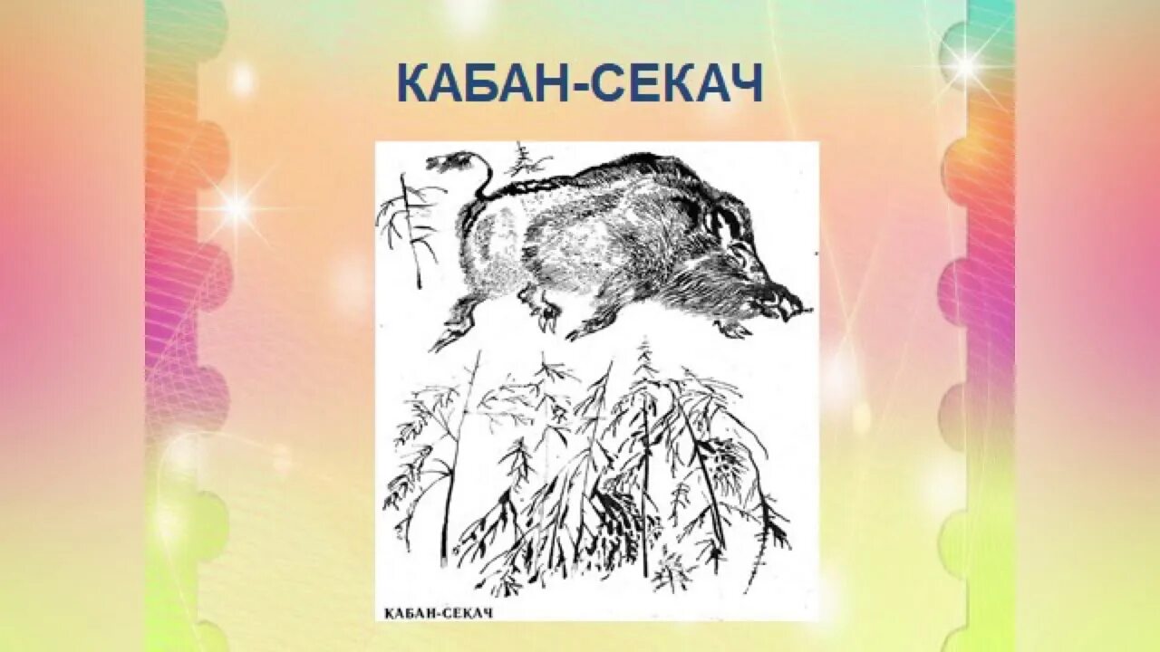 Произведение е чарушина кабан. Чарушин кабан иллюстрации. Иллюстрация к рассказу кабан. Рисунок к рассказу кабан. Илюстрация рассказа " кабан ,,.