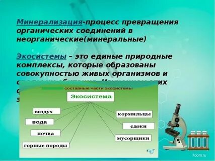 Организмы образующие органические вещества и неорганические