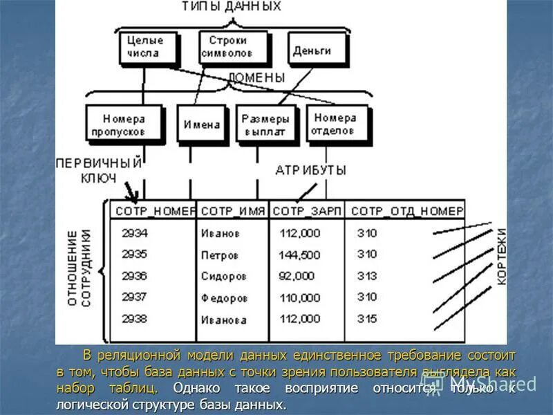 Реляционная модель ключи. Реляционная база данных кортеж. Домен реляционная модель базы данных. Домен в реляционной модели данных. Типы данных атрибутов.