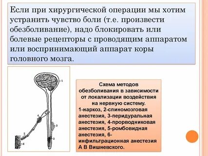 Боль и обезболивание в работе медицинской