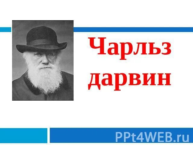 Дарвин презентация. Дарвин презентация. Дарвин презентация. Дарвин презентация. Дарвин презентация.