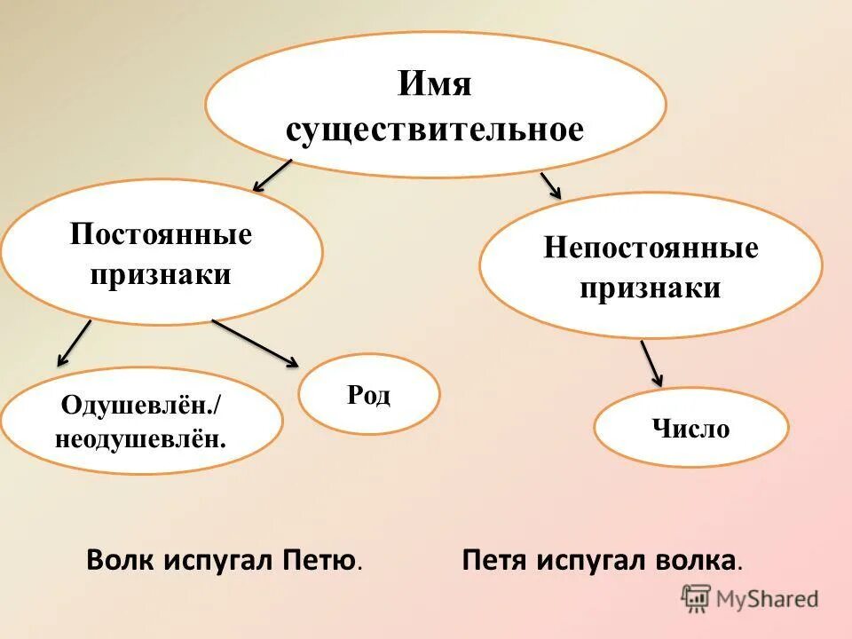 Думая постоянные признаки. Постоянные признаки имена существительные. Имя существительное постоянные и непостоянные признаки. Имя существительное постоянные признаки и непостоянные признаки. Презентация постоянные признаки существительного.