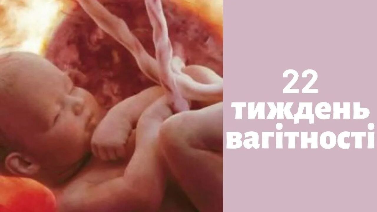 Беременность 22 недели развитие. Ребёнок в 22 недели беременности. узи ребенка на 22 неделе беременности. ребёнок в 22 недели беременности фото.