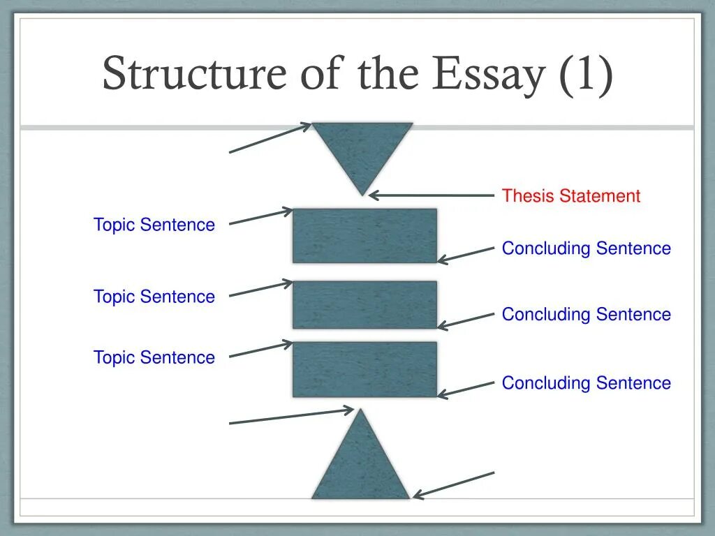 Discuss and give your opinion. Essay structure. Структура эссе IELTS. Writing структура. Структура эссе по IELTS.