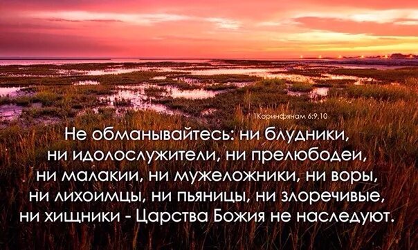 Пьяницы не наследуют. Царства Божьего не наследуют. Мужеложники царства Божия не наследуют. Злоречивые Царствия Божия не наследуют. Пьяницы Царствия Божия не наследуют.