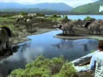 As we walked around the prehistoric