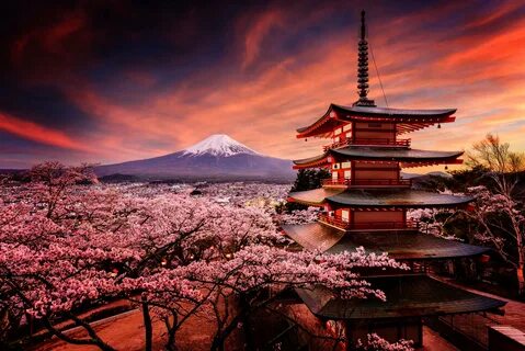 8 японских принципов, обеспечивающих гармонию в жизни.
