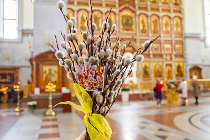 Музыка вербного воскресенья. С Вербным воскресеньем. Верба Церковь Вербное Воскресение. Верба на Вербное воскресенье. Обряды на Вербное воскресенье.