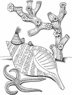 Морские рисунки