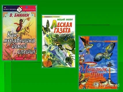 Спешил бианки