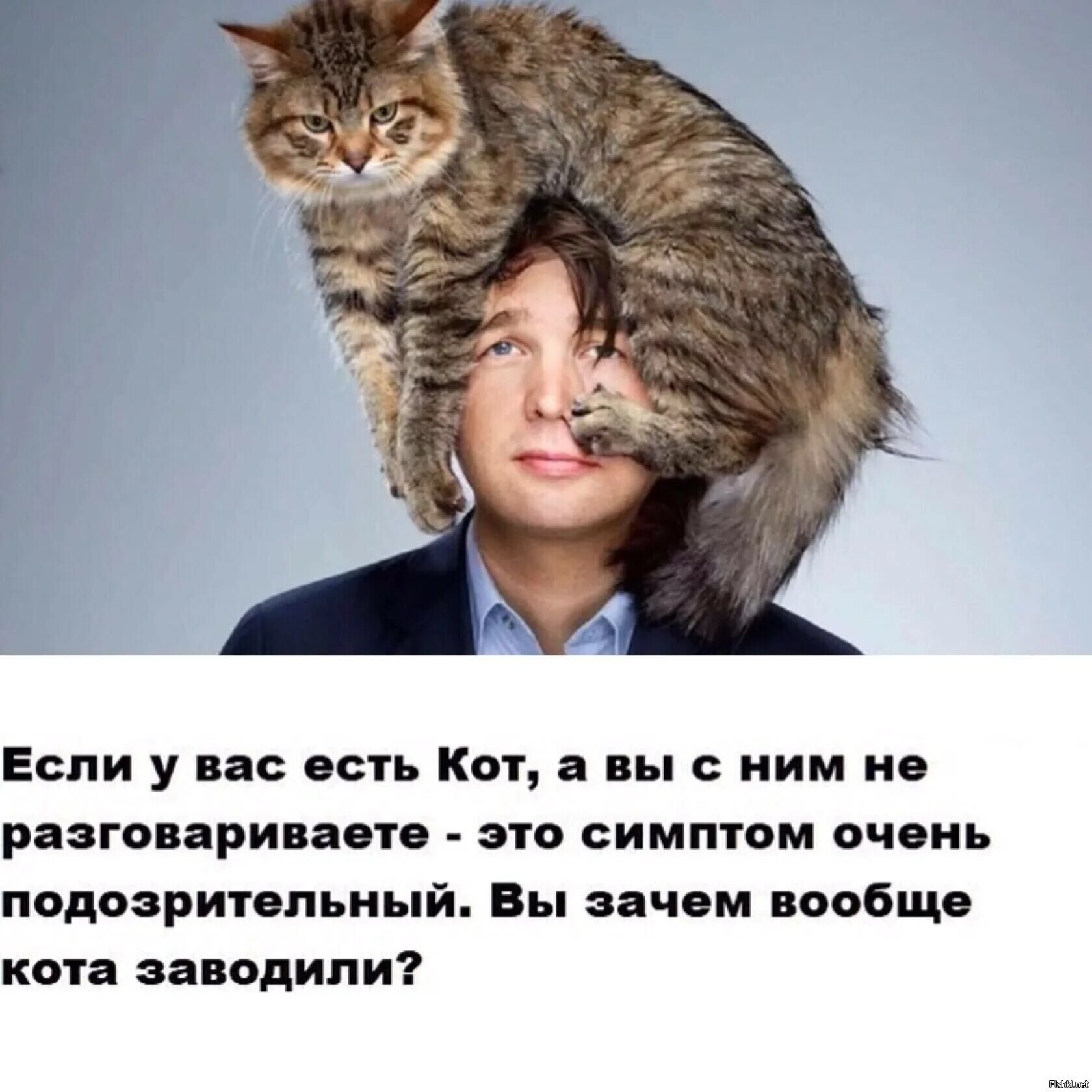 Вообще то это кот. Вообще то это кот