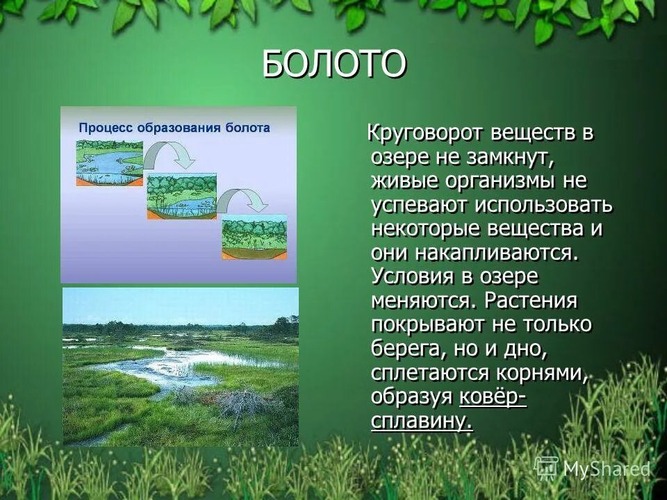 условия в озере. условия образования озер. условия в озере. запрудные озера. гидрология озер.