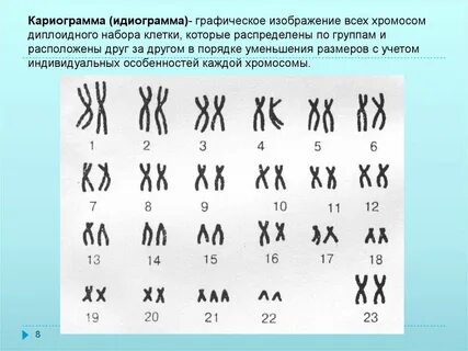 Представителю какого пола принадлежит данная кариограмма