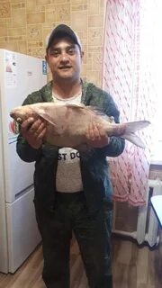 Поймали азербайджанца