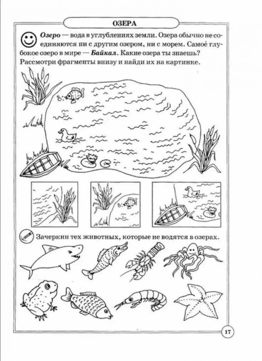 Раскраска окружающий мир 1 класс. Обитатели водоемов задания для дошкольников. География для дошкольников. Окружающий мир для дошкольников. Жители океана задания для дошкольников.