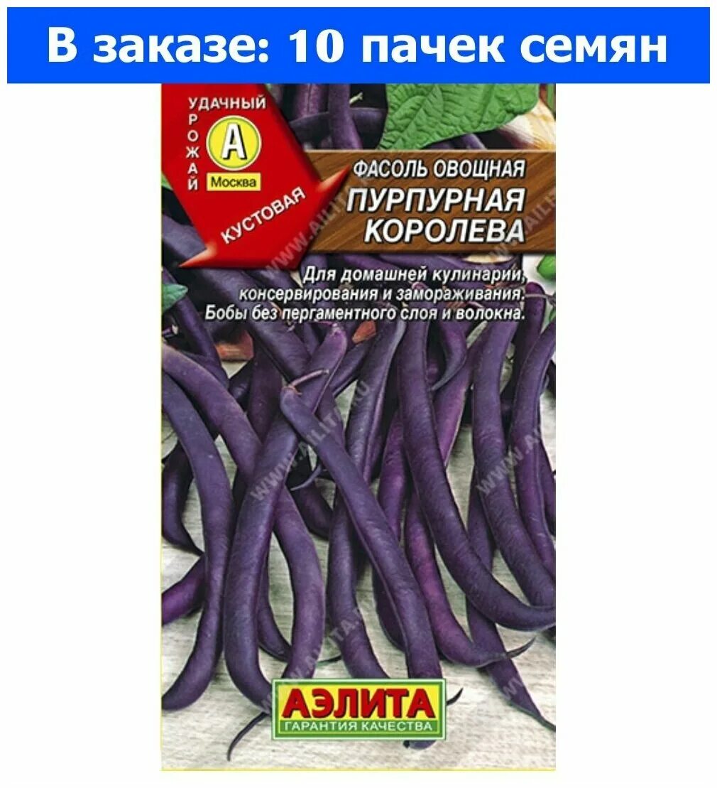 Фасоль пурпурная. Фасоль пурпурная. Фасоль кустовая ‘пурпурная королева’. Фасоль пурпурная. Фасоль пурпурная королева спаржевая.