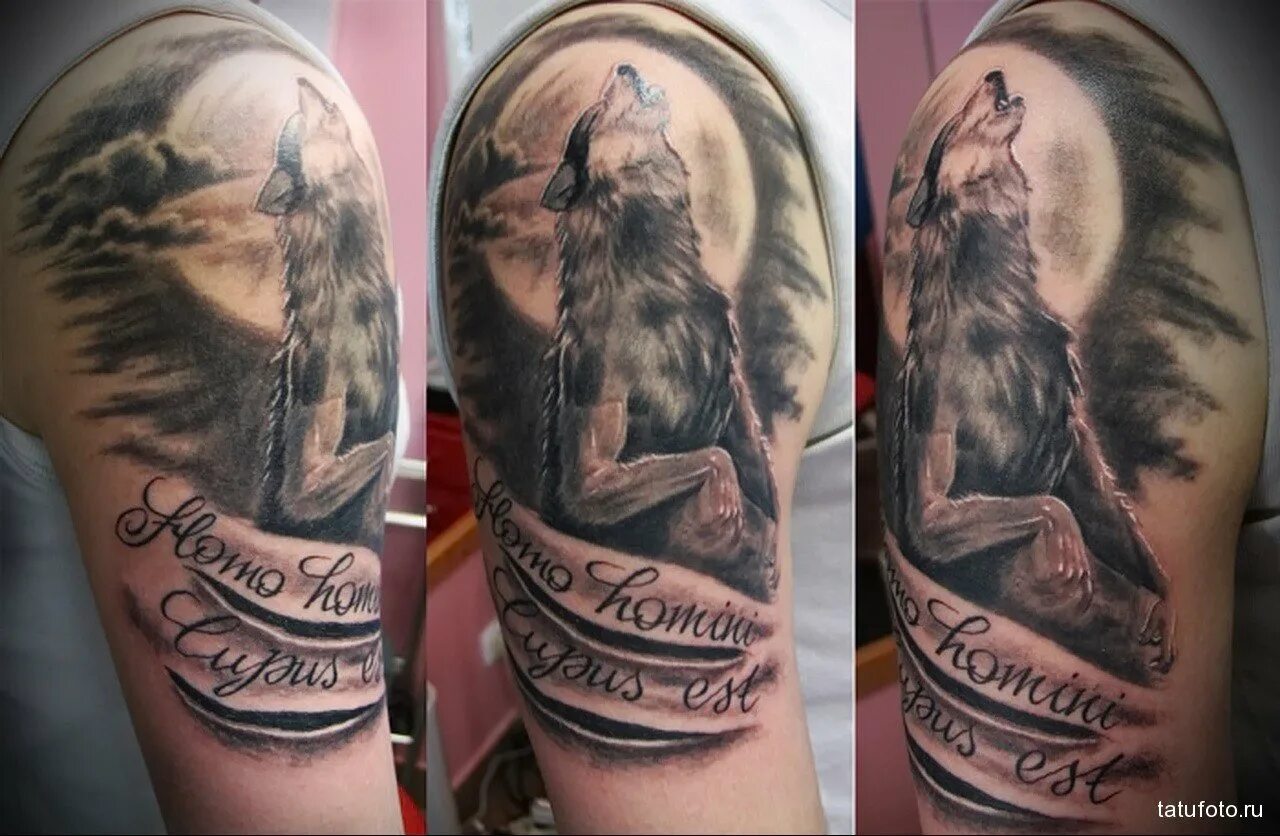 Тату волк на спине для девушек. Тату волк и луна. Тату воющий волк. Тату волк и луна. Тату волк воет на луну.