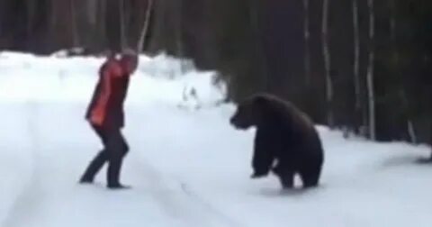 Видео про приведена