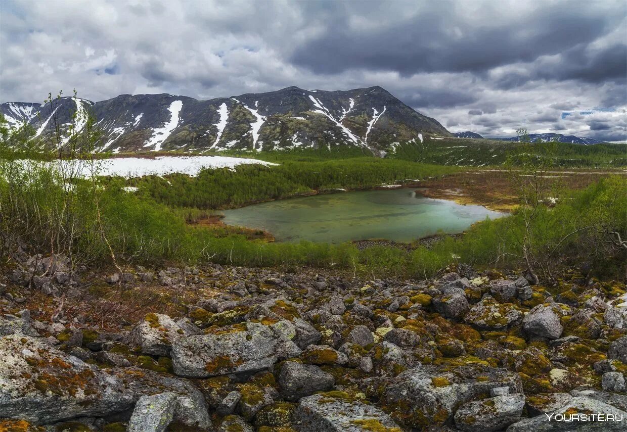 Мурманск горы хибины. Хибинский горный массив. Горный массив хибины. Хибины что это. Нац парк хибины.