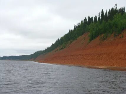 Барахолка мезень