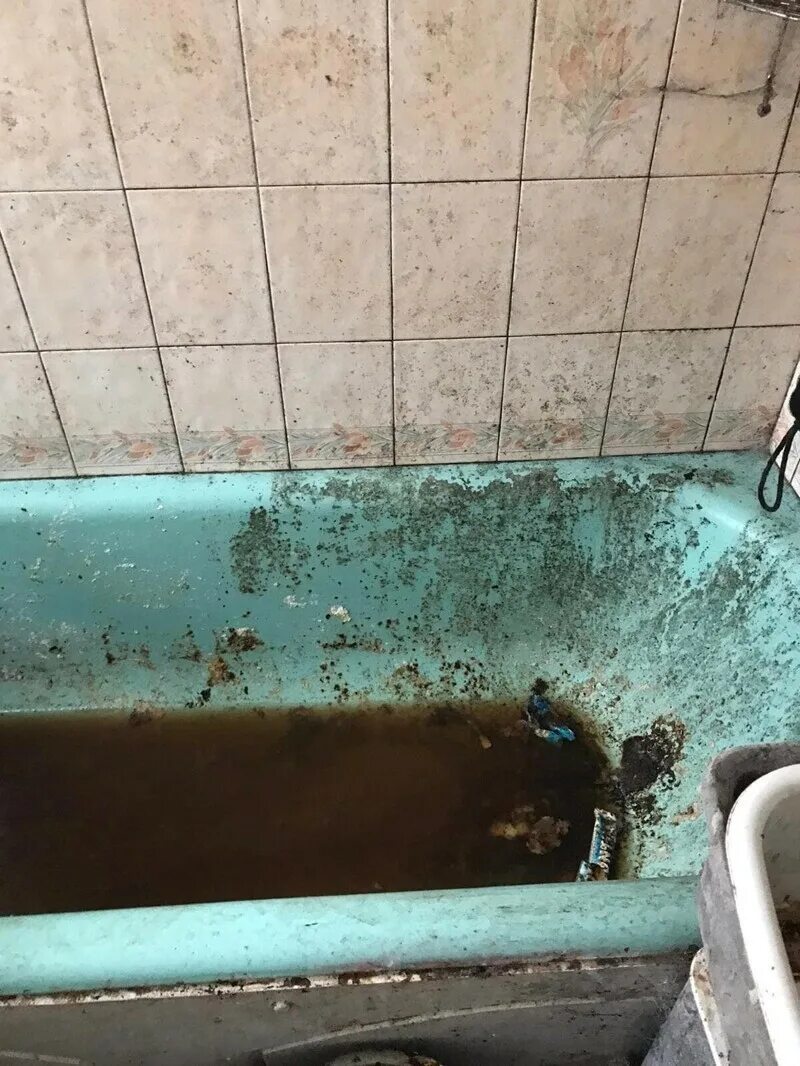 Не убиралась год