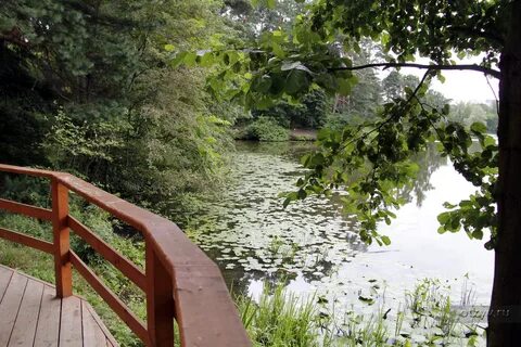 Серебряный бор г москвы