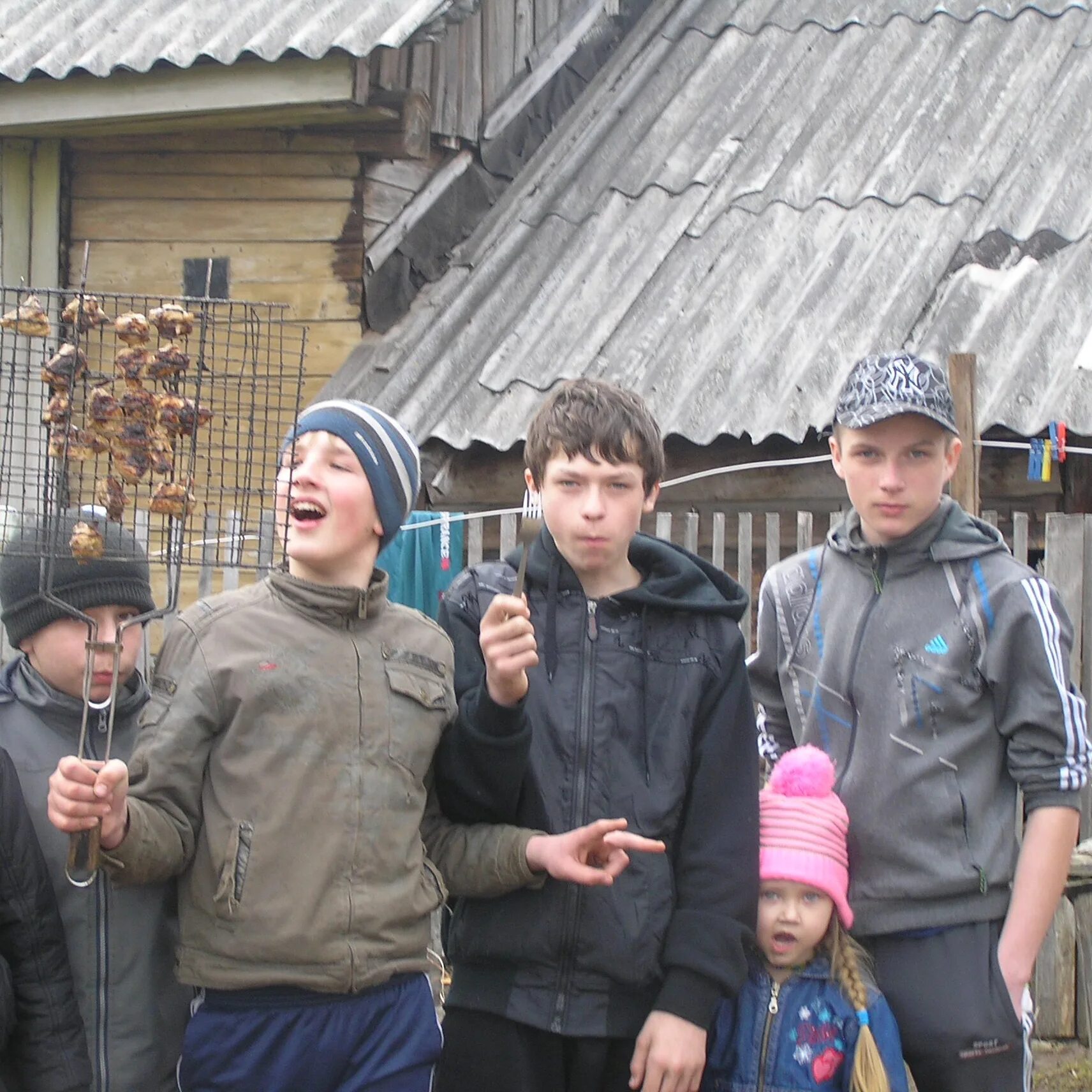 Новгородская обл кневицы. Деревня кневицы новгородская область.