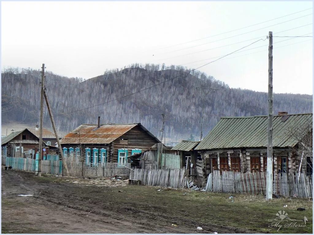 Погода родники шарыповский. Деревня Линево Шарыповский район. Красноярский край Шарыповский район с Березовское. Д. Александровка Шарыповский район. Село Ораки Шарыповский район Красноярский край.