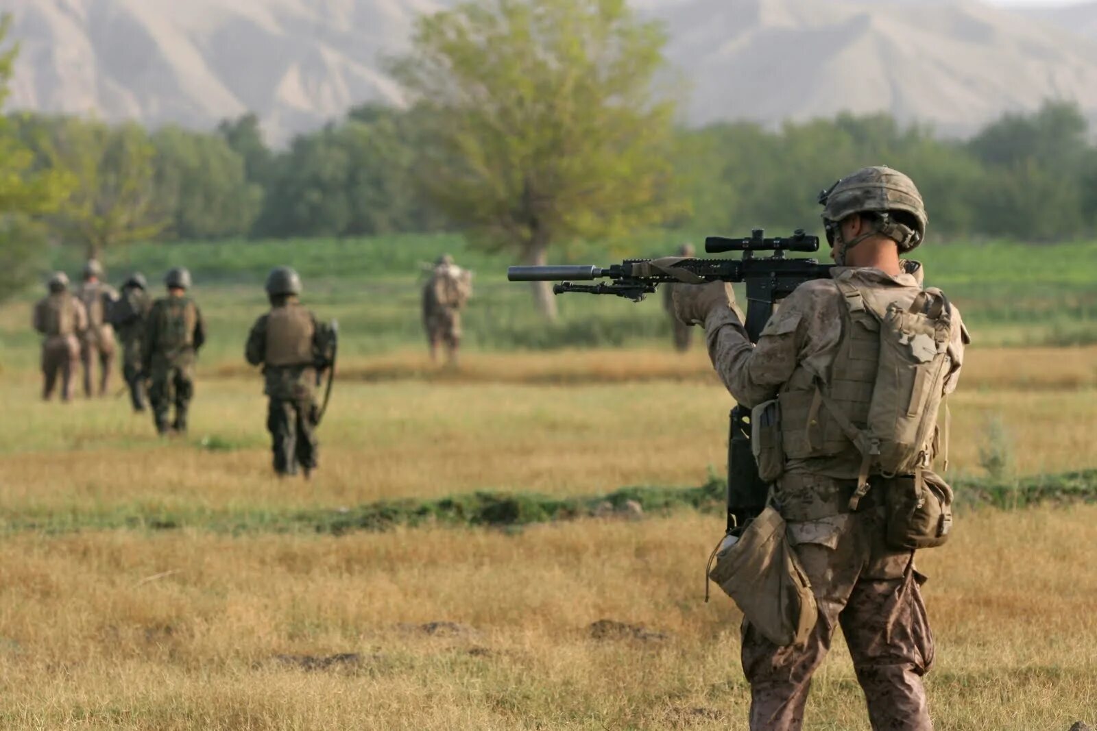 Marksman перевод. Марксман usmc. марксман marsoc. марксманский стрелок. united states marine corps designated marksman rifle.