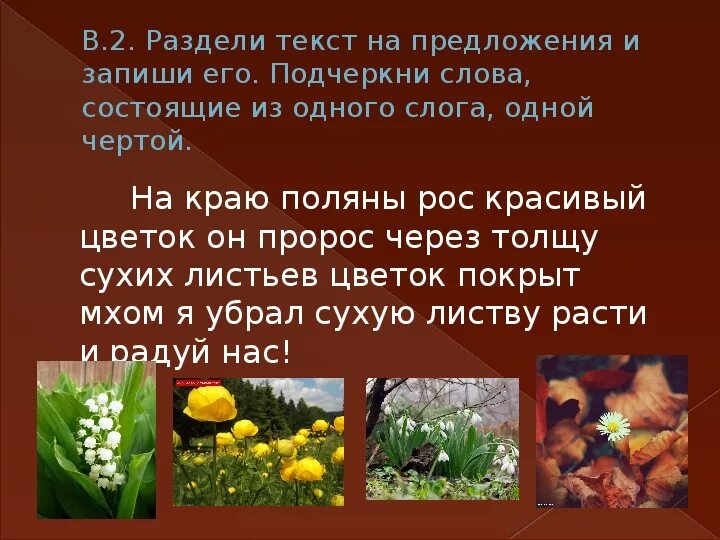 Разбей предложения. Раздели текст на предложения и запиши его. Растения один слог. Разделить на предложения 2 класс. Раздели текст на предложения и запиши ег.