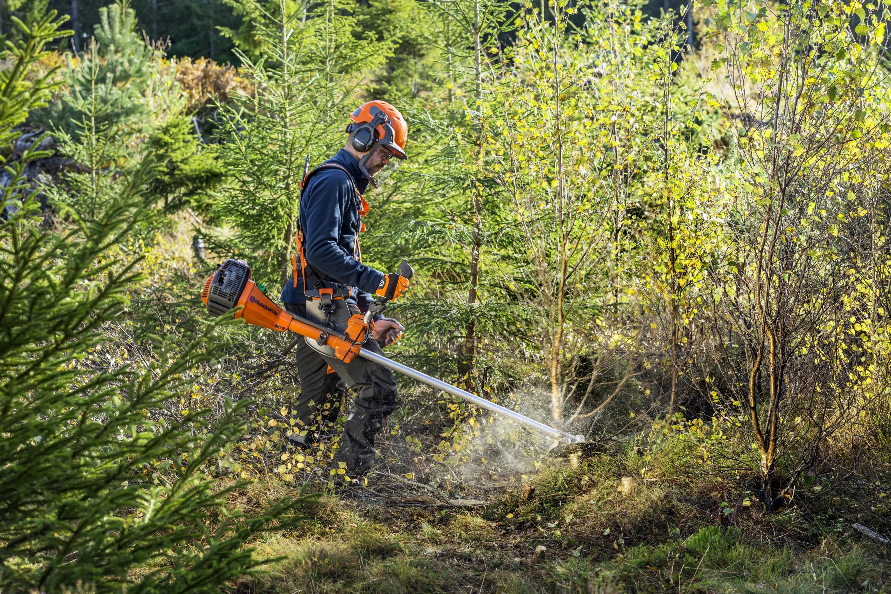 Расчистка мелколесья. Кусторез бензиновый Husqvarna 545fx. Кусторез Хускварна 545. Кусторез Лесной Husqvarna 545 FX. 9678845-01 Лесной кусторез Husqvarna 545f.