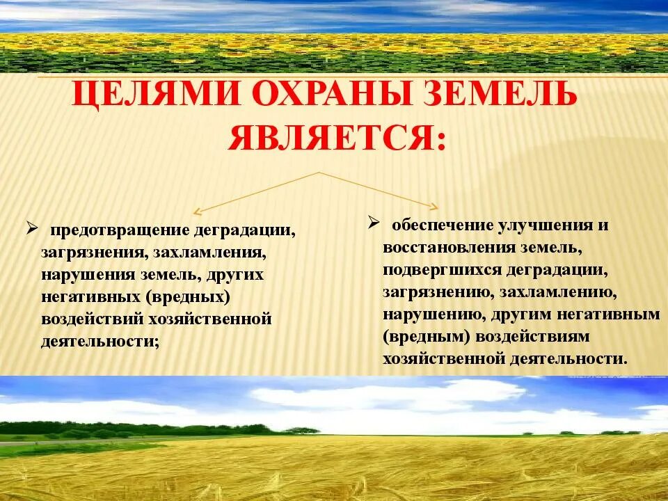 Управление охраной земельных ресурсов