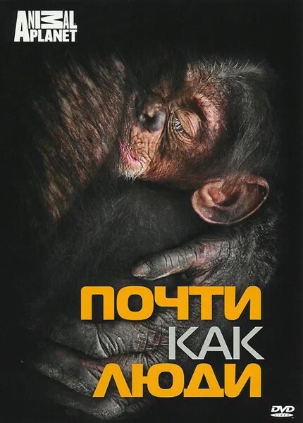 Почти как люди автор