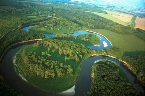 Устье моравы
