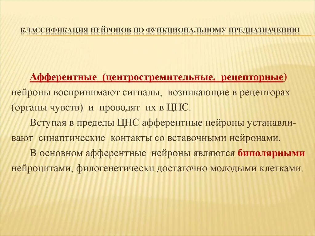 Чем выражается специализация рецепторов и органов чувств. Классификация нейронов. центростремительный нейрон. так классификация рецепторов для афферентных нейронов. функциональное предназначение моторных.