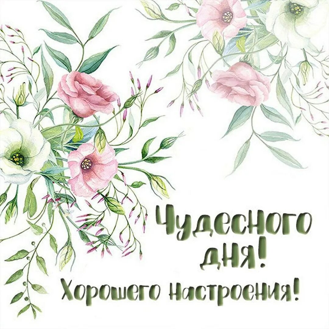 Чудесного дня и прекрасного настроения. Чудесного дня. Открытки с добрым днём. Чудесный дата. Хорошего денёчка и отличного настроения.