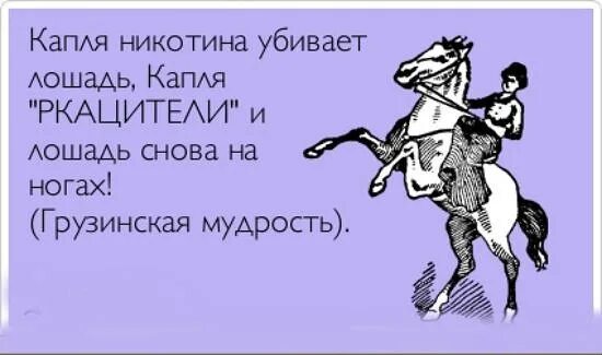 Шутки про принца на белом коне. Анекдот про принца на белом коне. Шутка про принца и коня.