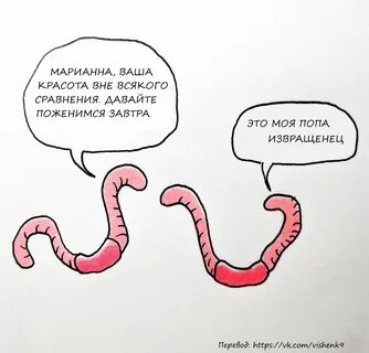 Worm перевод