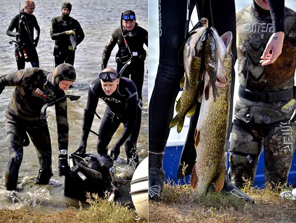 Форум подводных охотников. Подводная охота. Подводный охотник. Подводная охота на щуку. Подвох подводная охота.