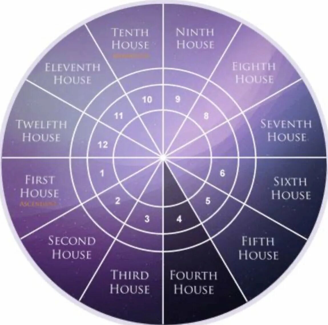 Знаки зодиака какой дом. Сферы жизни в астрологии. Сферы домов в астрологии. Дома в знаках зодиака. Знаки зодиака в домах.