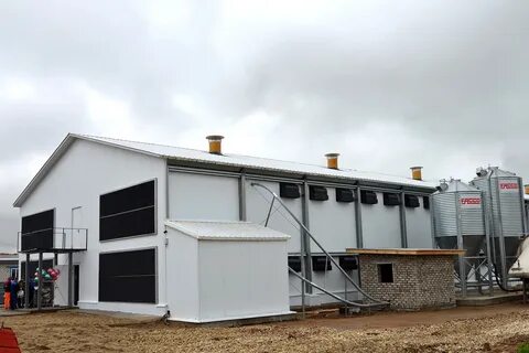 Кировская птицефабрика